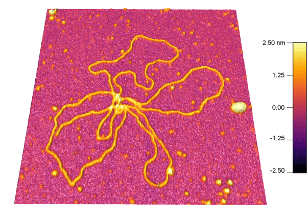 dna-sample-buffer-jupiter-xr-afm