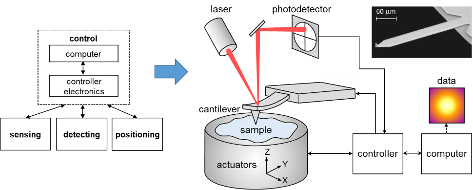 how-atomic-force-microscopy-afm-works