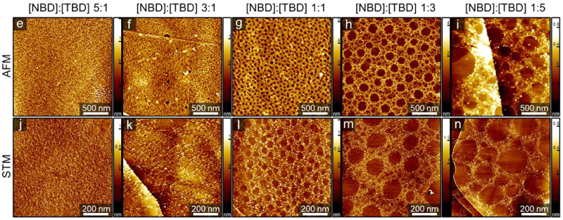 AFM和STM图像样本嫁接不同NBD: TBD比率。