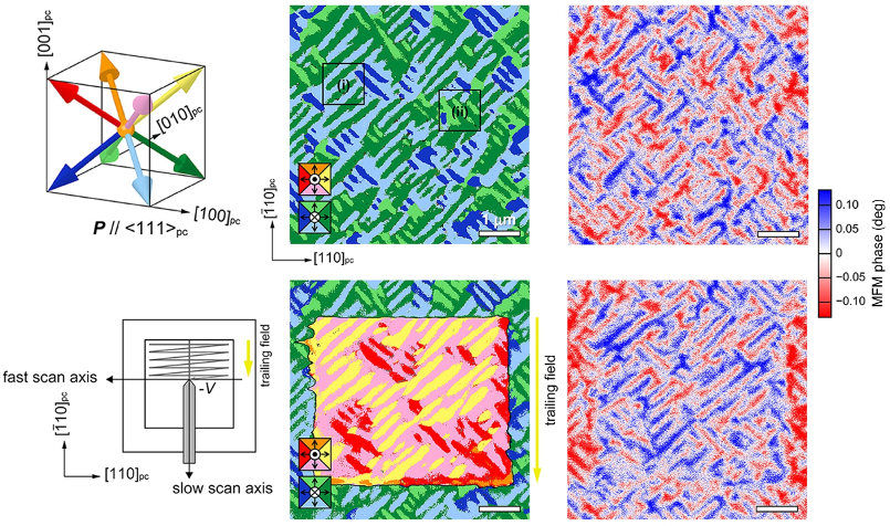 (left) Diagrams of (top) possible polarization directions in BFCO and (bottom) experimental scanning configuration; images of (middle) total PFM response and (right) MFM phase for (top) as-grown and (bottom) poled films.