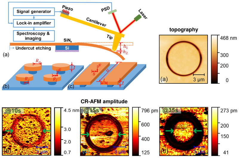 AFM实验装置及刻蚀圆形和矩形结构示意图在指定的蚀刻时间下，圆形样品的形貌和CR-AFM振幅图像。