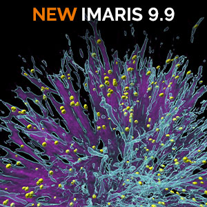 Try the new release of Imaris now