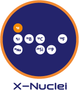 X-Nuclei