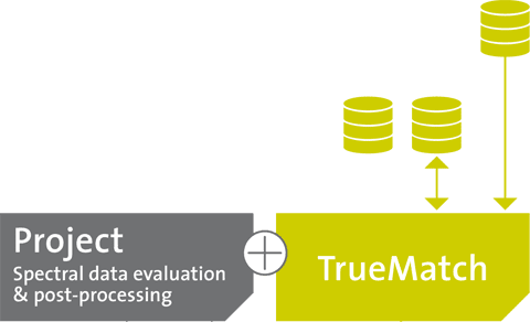 Truematch数据库